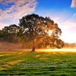 Avatar de Iván Téllez